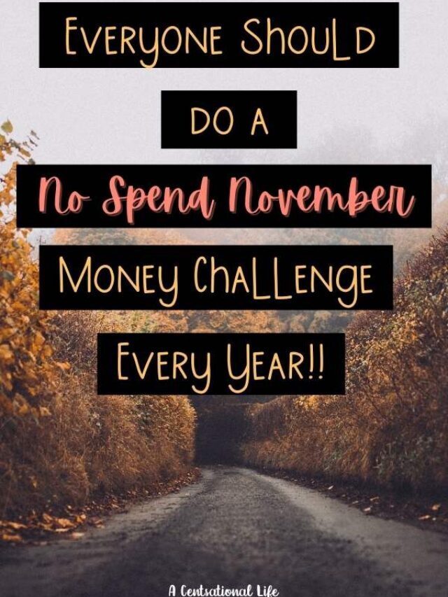 No Spend November Success Tips