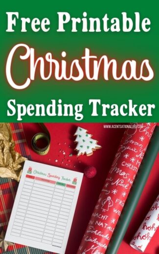 Free Printable Christmas Savings Tracker & Spending Tracker - A ...