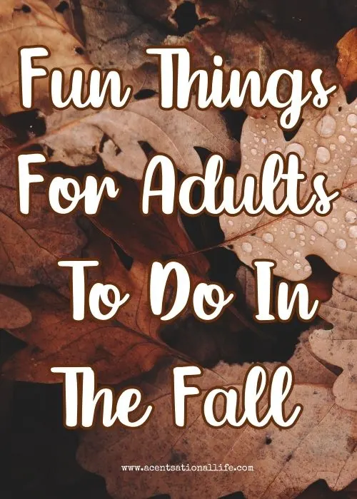 Fun Things To Do In Fall